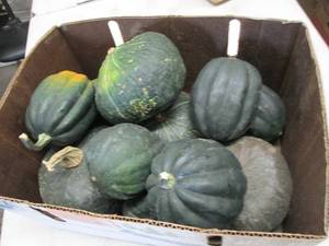 Half Bushel Winter Squash...