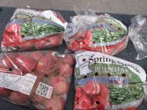 4- 3lb Bags Spring Brook Size B Red...