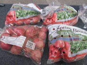 4- 3lb Bags Spring Brook Size B Red...