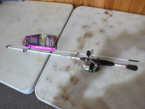 lot 286 image: South Bend Rod, Zebco Reel