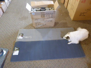 lot 414 image: 10 Town & Country Hall Rugs
