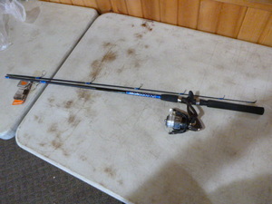 lot 284 image: South Bend Proton Series Rod and Reel