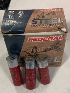 20 Shells, 12 Gauge, 2 � Inch