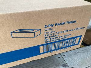 Angelsoft Facial Tissue