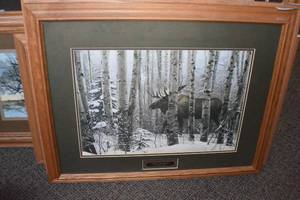 lot 57 image: Moose Print
