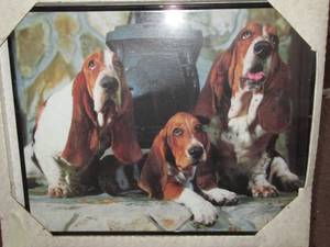 Vintage framed Dash hound picture...