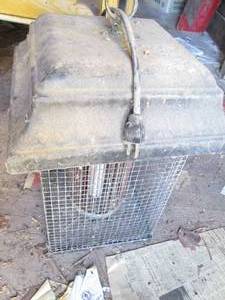 Industrial sized Bug zapping caged ...
