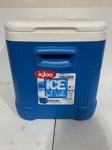 lot 59 image: Igloo Cooler 48 Quart