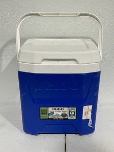 lot 61 image: Igloo Cooler 12 Quart