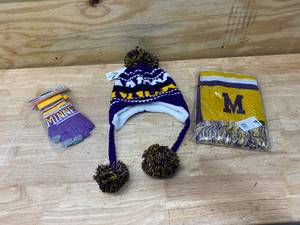 lot 94 image: Minnesota Winter Gear (Vikings Colors)