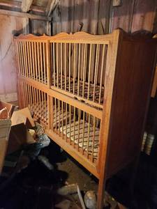 Enclosed Crib