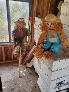 Scarecrows