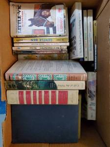 Collection Of Books