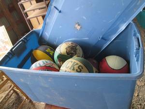 Large covered rolling storage tote ...