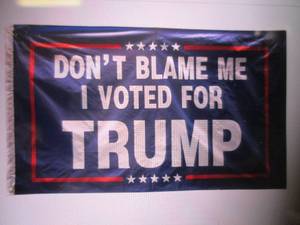 lot 38 image: (RMC) 3 ft x 5 ft Dont Blame Me I ...