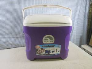 lot 201 image: (D-1T) Igloo Contour 3-Day 30 Qt Co...