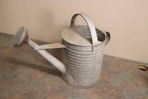 lot 38 image: Sprinkling Can