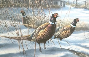 lot 97 image: Limited Edition Out Back Framed Art Print by James Meger