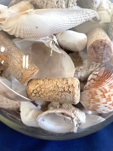 lot 214 image: Corks and Shells Fun Seashell Decor