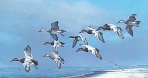 lot 206 image: Limited Edition Wings of Winter Framed Print by Plasschaert