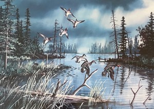 lot 271 image: Limited Edition Artist Proof Come Rain or Shine Framed Print by Ken Zylla
