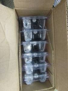 lot 116 image: FASTENMASTER 75-Piece 2.5 in. Cortex for Trex Decking Screws in Island Mist - 6 PACKS