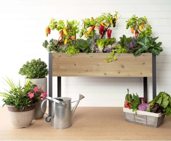 lot 393 image: Self-Watering Cedar Planter (21 x 47 x 32H) - Western Red Cedar
