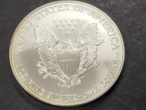 2001 AMERICAN SILVER EAGLE 1 TROY OZ .999 FINE SILVER