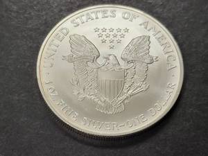 2004 AMERICAN SILVER EAGLE 1 TROY OZ .999 FINE SILVER