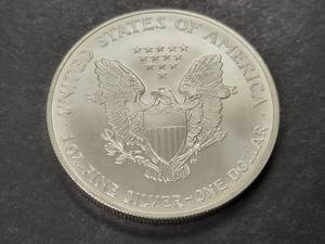 2005 AMERICAN SILVER EAGLE 1 TROY OZ .999 FINE SILVER