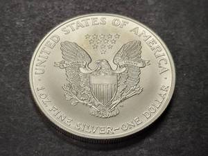 2007 AMERICAN SILVER EAGLE 1 TROY OZ .999 FINE SILVER
