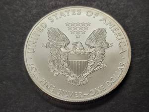 2009 AMERICAN SILVER EAGLE 1 TROY OZ .999 FINE SILVER