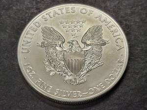 2013 AMERICAN SILVER EAGLE 1 TROY OZ .999 FINE SILVER