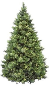 lot 443 image: National Tree Company 7-12 ft. Carolina Pine Hinged Artificial Christmas Tree with 86 Flocked Cones and 750 Clear Lights, CAP3-306-75 - SOLD AS IS