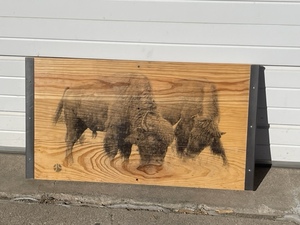 Original Bison Photo on Bison Bleacher Wood