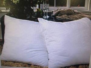 Euro Square Feather Pillow 2-Pack o...