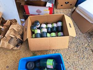 lot 515 image: Lot of (13) Coleman Propane Tanks (empty)
