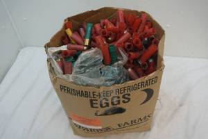 lot 571 image: Empty 12 Gauge Casings