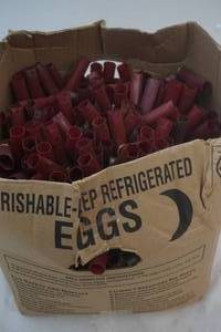 lot 577 image: Empty 12 Gauge Casings