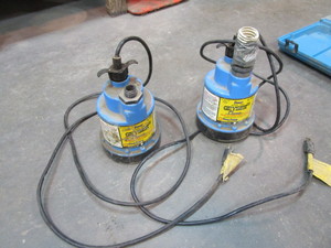 lot 53 image: (2) Sump Pumps