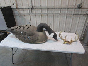 lot 103 image: Large Goose Decoy & Deer Antlers