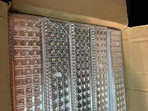 lot 198 image: Set of 5 Bell Howell Grow Lights