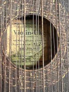 lot 104 image: Marxochime Colony Voilin-Uke
