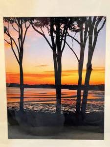lot 217 image: Sunset Photography Framed Art