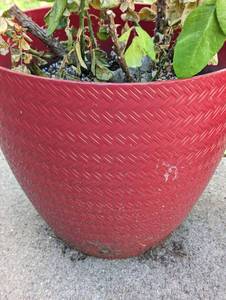 lot 177 image: Pair of Decorative Outdoor Planters