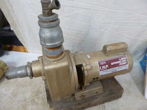 lot 43 image: Wayne Lawn Sprinkling Pump