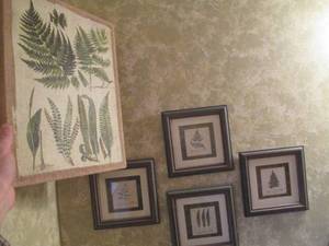 Wall decor, fern prints...