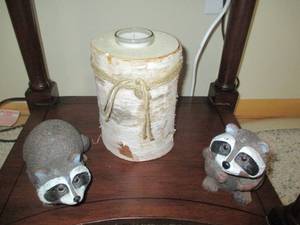 2 Small racoons and a birch log can...