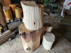lot 200A image: (4) Stripped Logs - Great for Sitting around the Campfire - NO SHIPPING