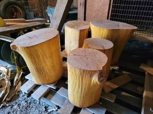 lot 201 image: (5) Stripped and Varnished Logs - Great for Sitting around the Campfire - NO SHIPPING